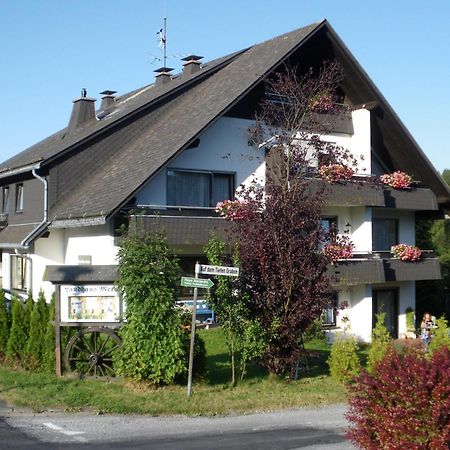 Ferienwohnungen Landhaus Meran Inkl Meinecardplus Willingen  Eksteriør bilde