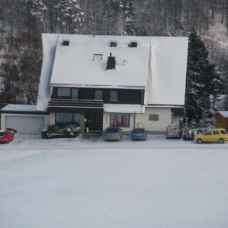 Ferienwohnungen Landhaus Meran Inkl Meinecardplus Willingen  Eksteriør bilde