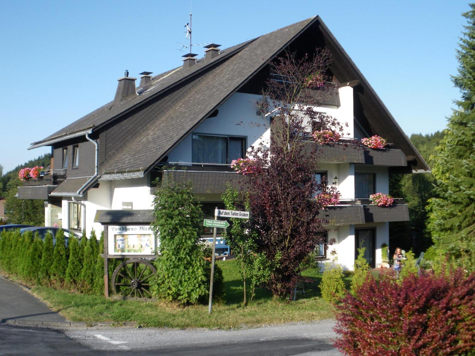 Ferienwohnungen Landhaus Meran Inkl Meinecardplus Willingen  Eksteriør bilde